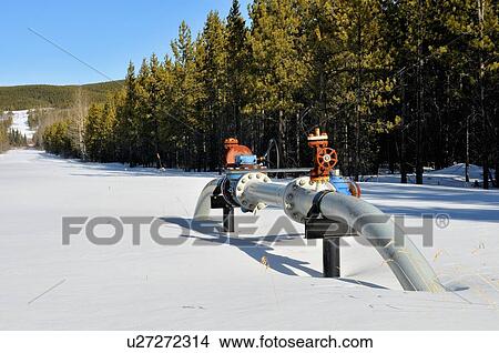 Picture -  winter image ground valve section natural sweet. Fotosearch