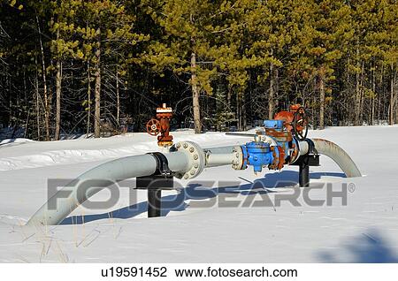 Stock Image -  winter image ground valve section natural sweet. Fotosearch