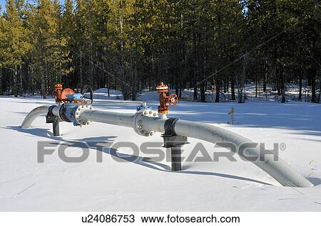 winter image ground valve section natural sweet View Large Photo Image Stock Image - winter image ground valve section natural sweet. Fotosearch