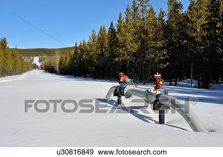 winter image ground valve section natural sweet View Large Photo Image Stock Photo - winter image ground valve section natural sweet. Fotosearch