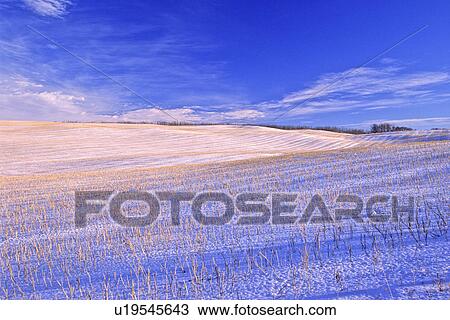 Stock Image -  winter this farming landscape crisp day in area. Fotosearch