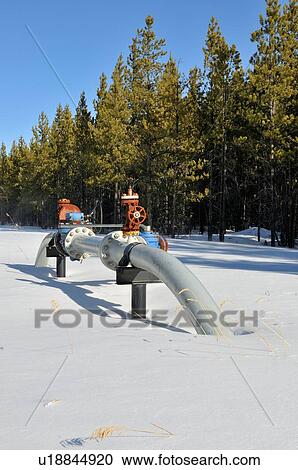 winter vertical image ground valve section sweet View Large Photo Image Stock Image - winter vertical image ground valve section sweet. Fotosearch