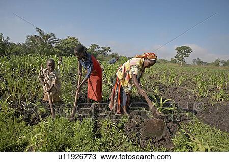Stock Image -  woman children women uganda small farmer field . Fotosearch