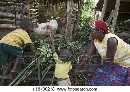 Stock Photo -  woman home uganda in farmer najjemba teopista . Fotosearch
