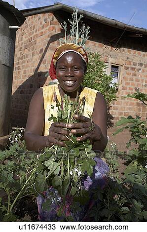 Stock Image -  woman home uganda in smallscale farmer. Fotosearch