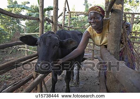 Picture -  woman home women uganda in farmer najjemba woman . Fotosearch