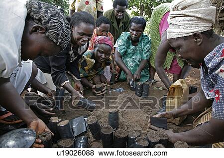 Stock Photo -  woman tree uganda nursery project in kisoga run . Fotosearch