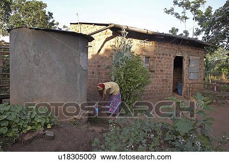woman water home women uganda in najjemba taking View Large Photo Image Stock Photo - woman water home women uganda in najjemba taking . Fotosearch