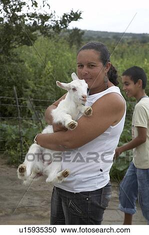 woman women brazil goat rearing project cedapp View Large Photo Image Stock Image - woman women brazil goat rearing project cedapp . Fotosearch
