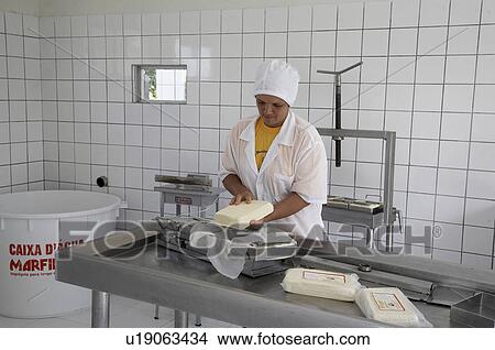woman women brazil valda mendes member milk cows View Large Photo Image Picture - woman women brazil valda mendes member milk cows . Fotosearch