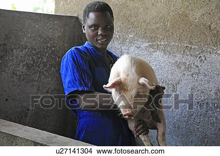 Picture -  woman women burundi agakura youth project in pig . Fotosearch