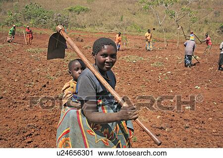 woman women burundi carrying hoe gitera africa View Large Photo Image Stock Image - woman women burundi carrying hoe gitera africa . Fotosearch
