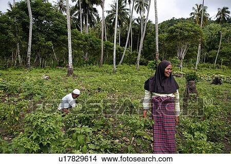 woman women indonesia mohammed jam wife samsia 2 View Large Photo Image Picture - woman women indonesia mohammed jam wife samsia 2 . Fotosearch