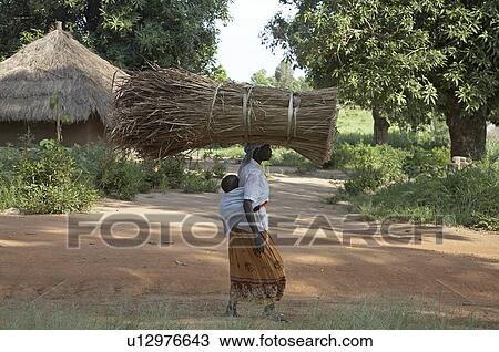 woman women south sudan carrying thatch for roof View Large Photo Image Stock Image - woman women south sudan carrying thatch for roof . Fotosearch