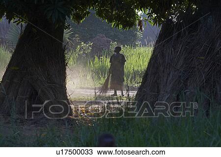 woman women south sudan early morning scene farm View Large Photo Image Stock Image - woman women south sudan early morning scene farm . Fotosearch