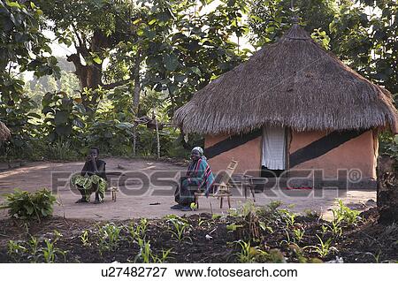 Stock Photo -  women south sudan early morning scene farm yei . Fotosearch
