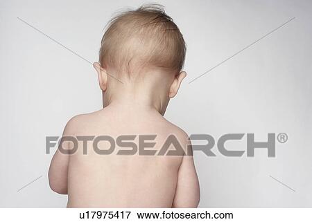 Stock Photo - Baby (6-12 months), back view. Fotosearch
