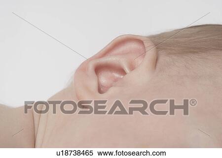 Stock Photography - Baby (6-12 months), close up of ear. Fotosearch