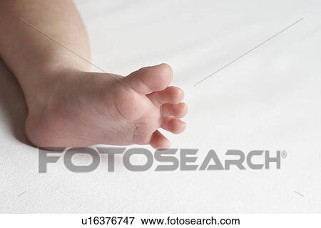 Baby (6-12 months), close up of foot View Large Photo Image Stock Photo - Baby (6-12 months), close up of foot. Fotosearch