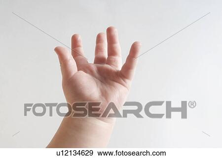 Baby (6-12 months), close up of hand View Large Photo Image Stock Photo - Baby (6-12 months), close up of hand. Fotosearch