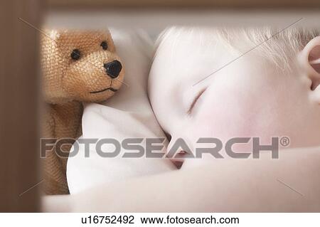 Baby boy lies with teddy bear sleeping View Large Photo Image Stock Image - Baby boy lies with teddy bear sleeping. Fotosearch