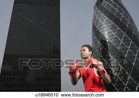 Boxer in front of downtown buildings, low angle view, London, England View Large Photo Image Stock Image - Boxer in front of downtown buildings, low angle view, London, England. Fotosearch