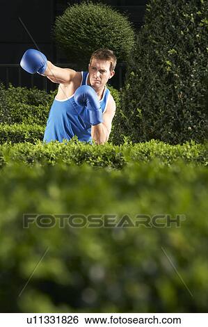 Boxer throwing punches in park, portrait View Large Photo Image Stock Photograph - Boxer throwing punches in park, portrait. Fotosearch