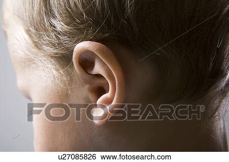 Boy's ear View Large Photo Image Stock Photograph - Boy's ear. Fotosearch