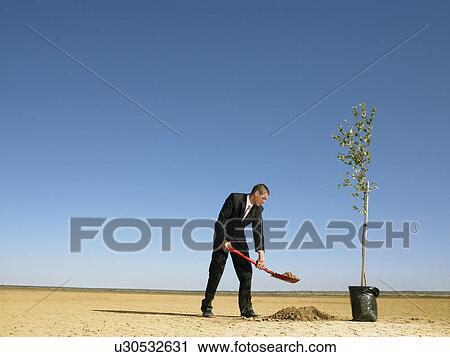 Businessman planting tree in desert View Large Photo Image Stock Image - Businessman planting tree in desert. Fotosearch