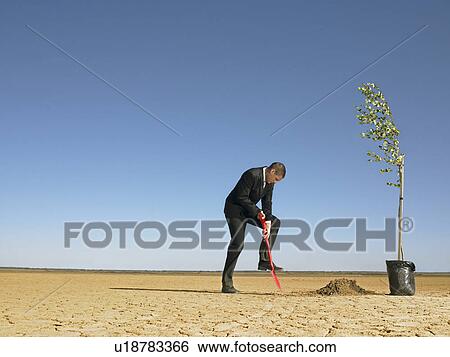 Businessman planting tree in desert View Large Photo Image Stock Photograph - Businessman planting tree in desert. Fotosearch