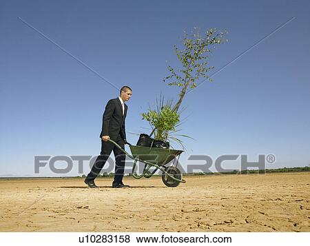 Stock Photo - Businessman pushing wheelbarrow full of plants in desert. Fotosearch