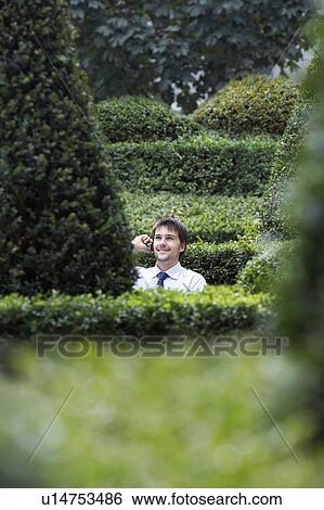 Stock Photograph - Businessman talking on cell phone in park garden, seem through hedges. Fotosearch
