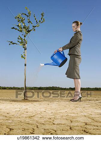 Stock Image - Businesswoman watering tree in desert, full length. Fotosearch