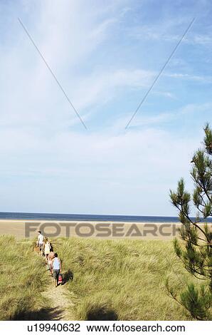 Couples Walking on Trail to Beach, high angle view, back view View Large Photo Image Stock Image - Couples Walking on Trail to Beach, high angle view, back view. Fotosearch