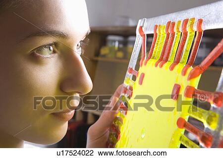 Craftswoman examining glass frame View Large Photo Image Stock Image - Craftswoman examining glass frame. Fotosearch
