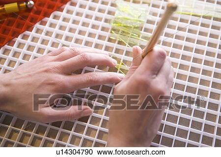 Craftswoman working with glass View Large Photo Image Stock Image - Craftswoman working with glass. Fotosearch