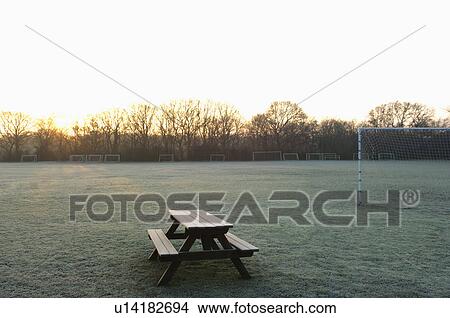 Picture - Empty soccer field, sunset. Fotosearch