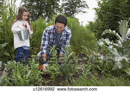 Stock Image - Father and daughter (5-6) gardening. Fotosearch