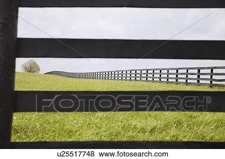 Stock Photo - Fence dividing fields in countryside. Fotosearch