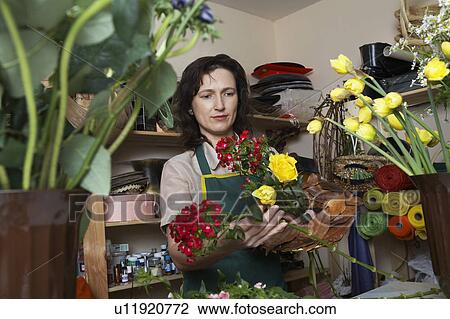 Florist arranging bouquet in studio View Large Photo Image Stock Image - Florist arranging bouquet in studio. Fotosearch