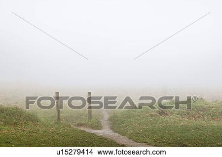 Picture - Footpath leading through foggy field. Fotosearch