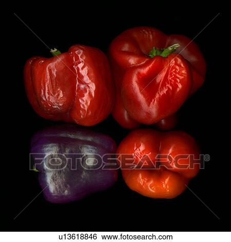 Four withered bell peppers, view from above View Large Photo Image Stock Photograph - Four withered bell peppers, view from above. Fotosearch