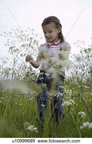 Girl (5-6) playing in meadow View Large Photo Image Stock Photo - Girl (5-6) playing in meadow. Fotosearch