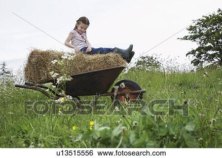 Girl (5-6) sitting on hay in wheelbarrow in field View Large Photo Image Stock Photograph - Girl (5-6) sitting on hay in wheelbarrow in field. Fotosearch