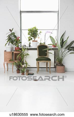 House interior with chair and potted plants by window View Large Photo Image Stock Photography - House interior with chair and potted plants by window. Fotosearch