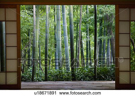 Stock Image - Japan, Kyoto, Okochi Denjiro, bamboo grove seen from Tea House. Fotosearch