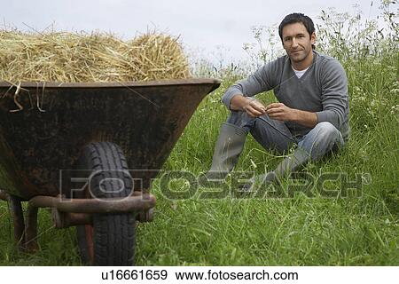 Man sitting beside wheelbarrow with hay in field, portrait View Large Photo Image Stock Photo - Man sitting beside wheelbarrow with hay in field, portrait. Fotosearch