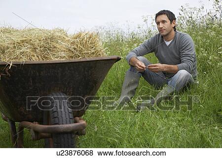 Man sitting beside wheelbarrow with hay in field View Large Photo Image Stock Photo - Man sitting beside wheelbarrow with hay in field. Fotosearch
