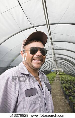 Man standing inside greenhouse View Large Photo Image Stock Photo - Man standing inside greenhouse. Fotosearch