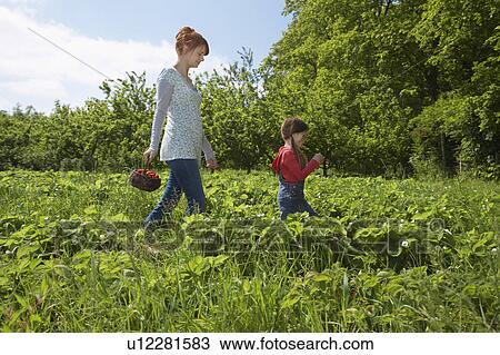 Stock Image - Mother and daughter (5-6) in strawberry field. Fotosearch
